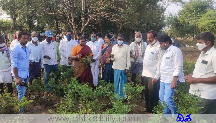 ప్రభుత్వం వారితో కుమ్మకైంది.. టీఆర్‌ఎస్‌పై సీతక్క ఫైర్