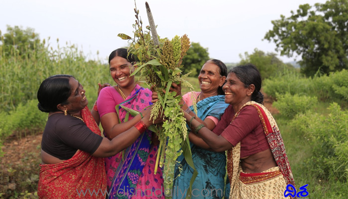 చిరు ధాన్యాల పండుగ పాత పంటల జాతర