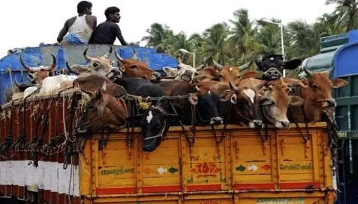 ప‌శువుల స్మ‌గ్లింగ్ కేసులో నిర్థోషి వాహనం జప్తు హ‌క్కుల‌ ఉల్లంఘ‌నే: సుప్రీంకోర్టు