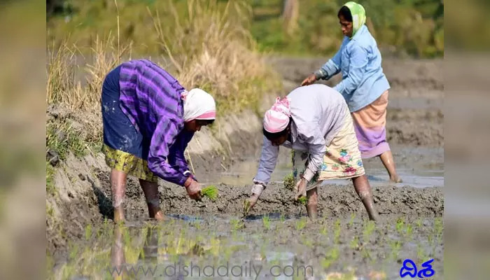 పీఎంకేఎస్‌వై ద్వారా 29 లక్షలకు పైగా రైతులకు ప్రయోజనం