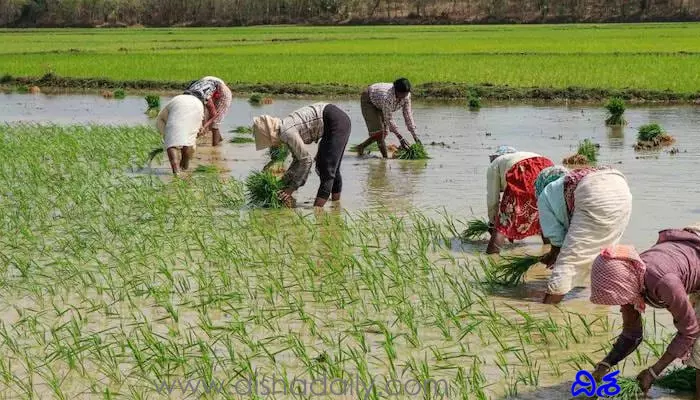 వారం రోజులే.. రుణమాఫీ కోసం రైతుల ఎదురుచూపులు