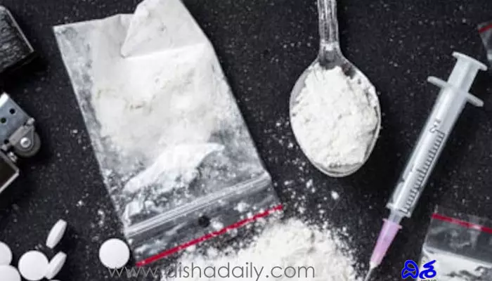 Drugs Case: బర్త్ డే పార్టీ ఎవరిది?  డ్రగ్స్ కేసులో దర్యాప్తు ముమ్మరం