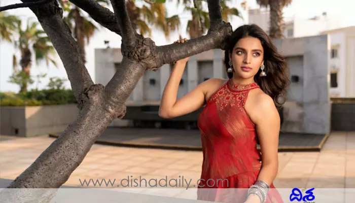 Nidhhi Agerwal: శృంగారంలో క్లైమాక్స్ గురించి వివరిస్తున్న పవన్ కళ్యాణ్ హీరోయిన్..