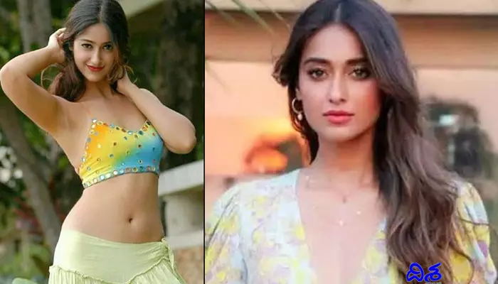 ILEANA : చిన్న వక్షోజాలు, పెద్ద బటక్స్.. బోల్డ్ కామెంట్స్ వినలేక చచ్చిపోతానంటున్న నటి