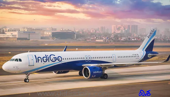 Indigo: స్వతంత్ర నాన్-ఎగ్జిక్యూటివ్ డైరెక్టర్లను నియమించుకున్న ఇండిగో