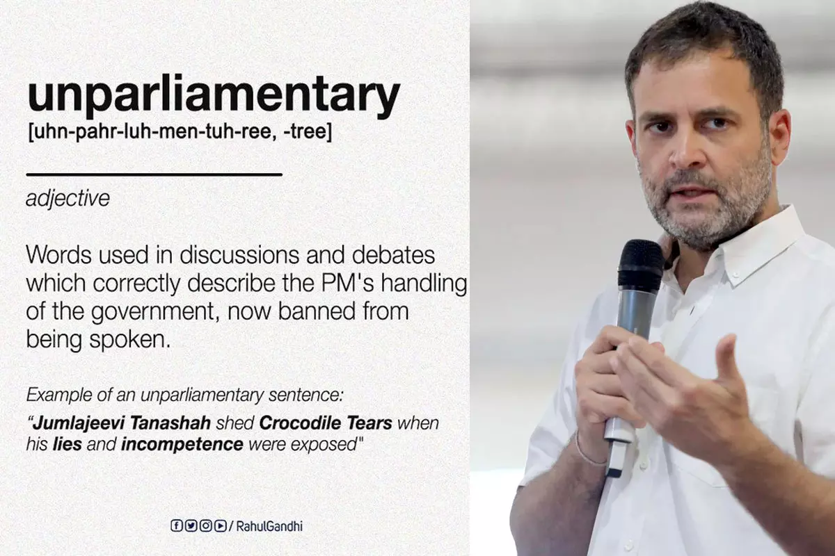 Rahul Gandhis Tweet On Unparliamentary Words In Parliament