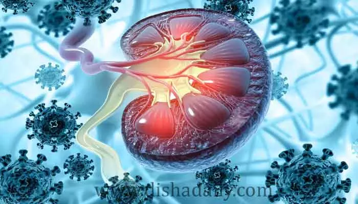 కిడ్నీలకు ప్రాణాంతకంగా హై బ్లడ్ షుగర్ ..Diabetes: