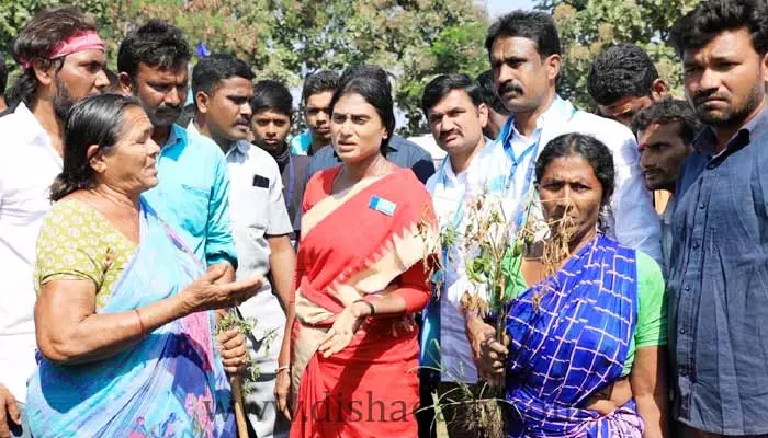 YS షర్మిల పాదయాత్రలో మరోసారి ఉద్రిక్తత