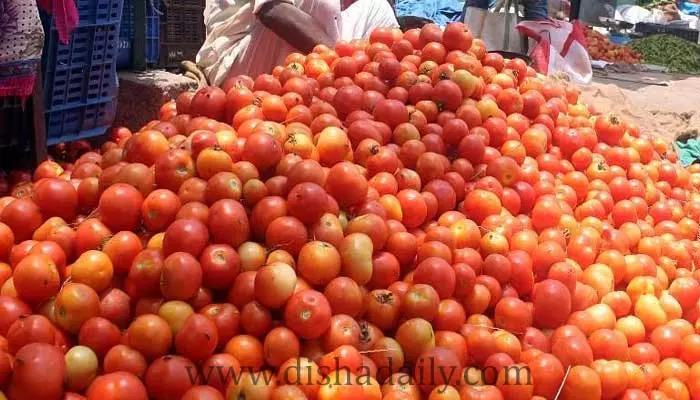 కిలో టమోటా 2 రూపాయలే!