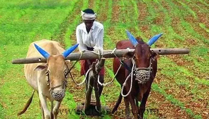 National Farmers Day : అన్నం పెట్టే రైతన్నకు ఎన్ని కష్టాలో..