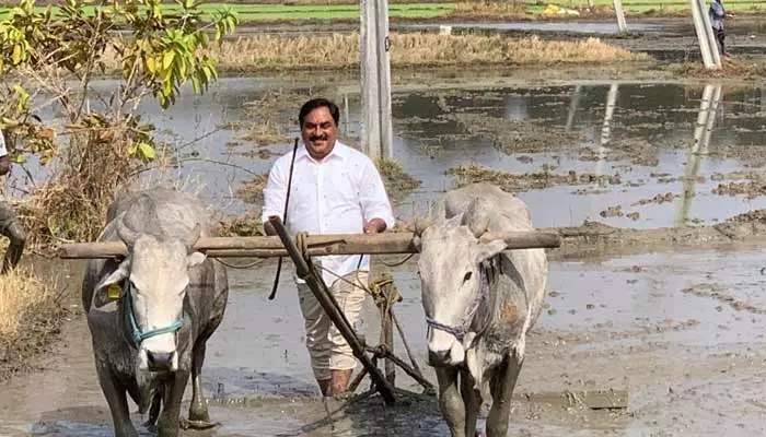 నాగలి చేత పట్టి పొలం దున్నిన మంత్రి (వీడియో)