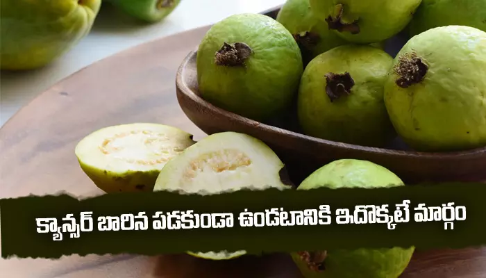 Health tips: Cancer బారిన పడకుండా ఉండటానికి ఇదొక్కటే మార్గం