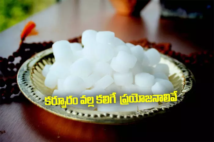 Health Benefits of Camphor : కర్పూరం వల్ల కలిగే ఆరోగ్య  ప్రయోజనాలివే