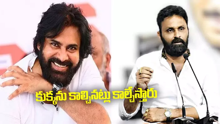 కుక్కను కాల్చినట్లు కాల్చేస్తారు.. పవన్ కల్యాణ్‌పై కొడాలి నాని సంచలన వ్యాఖ్యలు