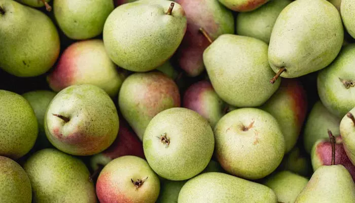 Pear Fruit : బేరి పండు యొక్క ప్రయోజనాలివే!