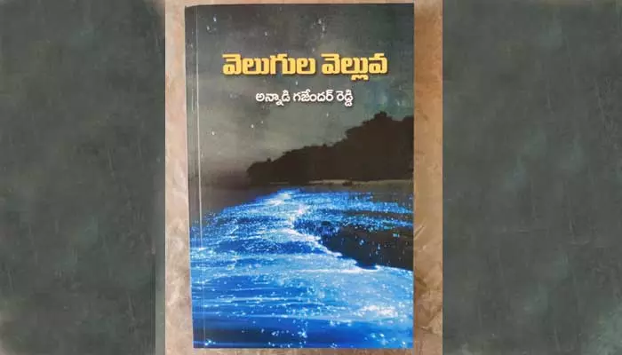 అంతరంగం: పాఠకుడు మహాపాఠకుడై వివరించిన కవిత్వ సారం