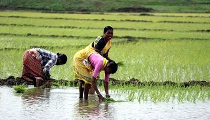 బిగ్ న్యూస్: మిగిలింది మరో ఐదారు నెలలే.. ఆ హామీ నెరవేరేనా..? రైతుల్లో కొత్త టెన్షన్