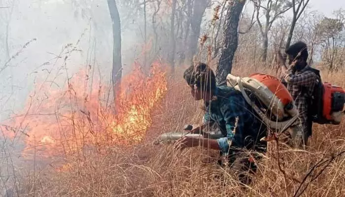 ఏటీఆర్ అడవుల్లో అదుపు కానీ మంటలు... ఎంత ప్రయత్నించినా...