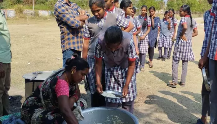 మధ్యాహ్న భోజనంలో బల్లి..!