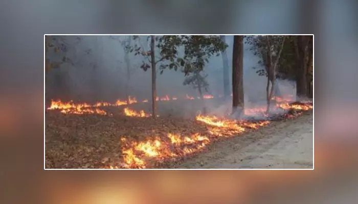 అడవిలో మంటలు.. ఆగమవుతున్న వణ్యప్రాణులు