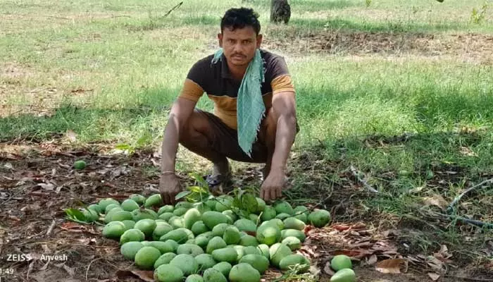 అకాల వర్షం... అపార నష్టం..