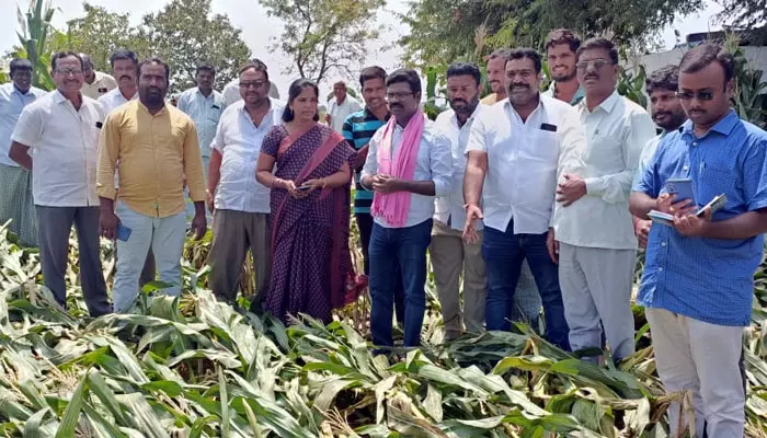 నిండా ముంచిన వడగళ్లు.. ఆదుకోవాలని ఫార్మర్స్ డిమాండ్