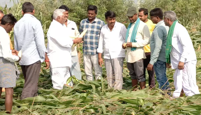 పంట నష్టపోయిన రైతులను ప్రభుత్వమే ఆదుకోవాలి: ఎమ్మెల్సీ జీవన్ రెడ్డి