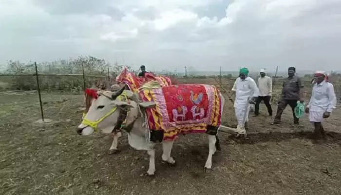 ఆదివాసీలతో సీఎల్పీ నేత భట్టి ఉగాది వేడుకలు..