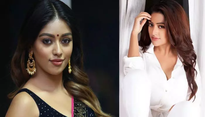 Anu Emmanuel: హ్యాపీ బర్త్ డే అను ఇమ్మాన్యుయేల్