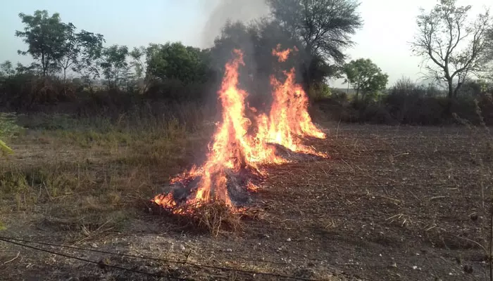 పొలాల్లో నిప్పు.. పర్యావరణానికి ముప్పు