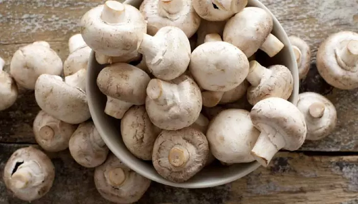 Mushroom: పుట్టగొడుగులు అధికంగా తింటే ఈ ఆరోగ్య సమస్యలు తప్పవట?