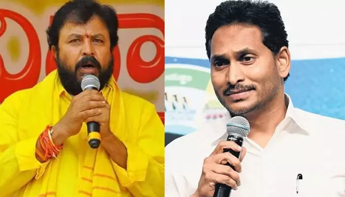 Chintamaneni: రెడీగా ఈడీ, సీబీఐ.. త్వరలో జైలుకు జగన్