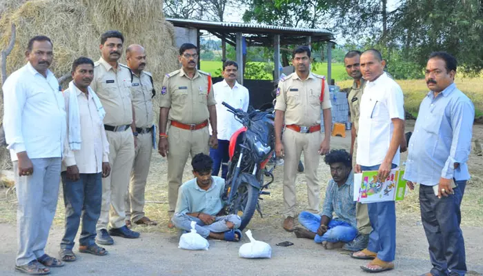 గంజాయి పట్టివేత