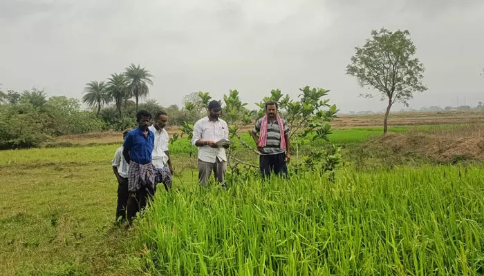 రైతున్నకు ఊరట.. రూ.30.70 లక్షలు విడుదల