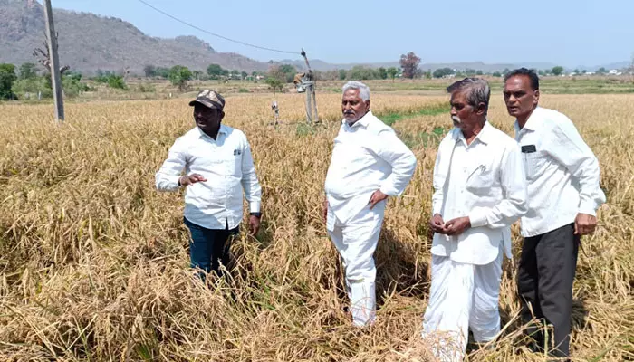 రైతులను ఆదుకోవాల్సిన సమయంలో ఆర్భాటాలా : పట్టభద్రుల ఎమ్మెల్సీ జీవన్ రెడ్డి