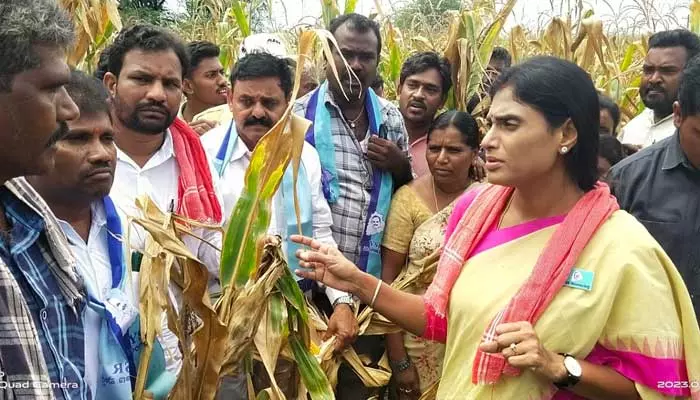 కేసీఆర్ పాలనలో రుణమాఫీ నుంచి అన్ని మోసాలే : వైఎస్ షర్మిల