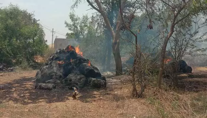 షార్ట్ సర్క్యూట్ తో గడ్డివాములు దగ్ధం..