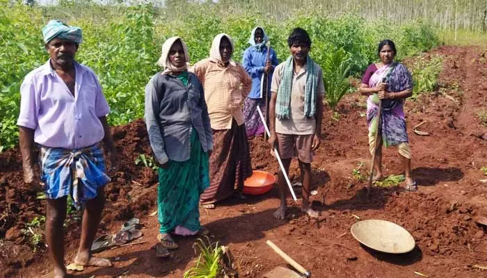 ఉపాధి కార్యాలయంలో మస్టర్ కాపీలు మాయం..