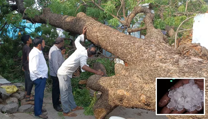 జగిత్యాలలో ఈదురుగాలులతో భారీ వర్షం