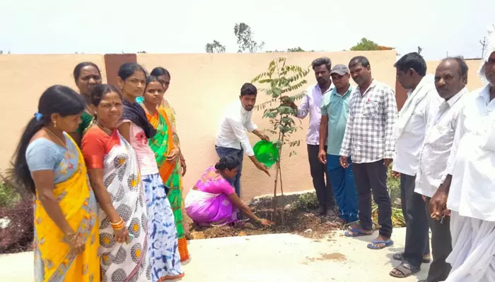 కలెక్టర్ జన్మదినాన్ని పురస్కరించుకుని మొక్కలు నాటిన పంచాయతి సెక్రటరీ..