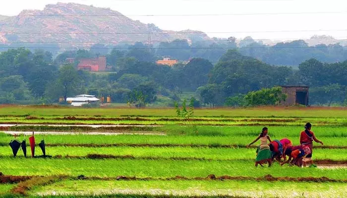 పోడు రైతుల గోసకు పరిష్కారమేదీ!?