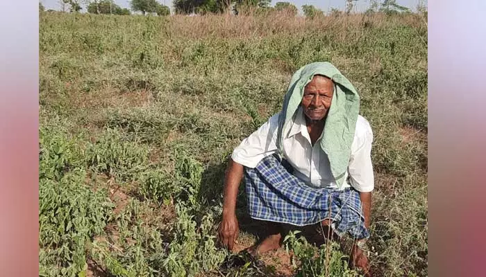 తొలకరి చినుకు కోసం అన్నదాత ఎదురుచూపు..