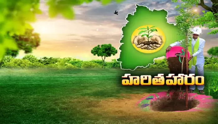 రాష్ట్రంలో ‘హరిత’ విధ్వంసం.. అటవీ ధ్వంసంలో దేశంలోనే తెలంగాణ నెం.1