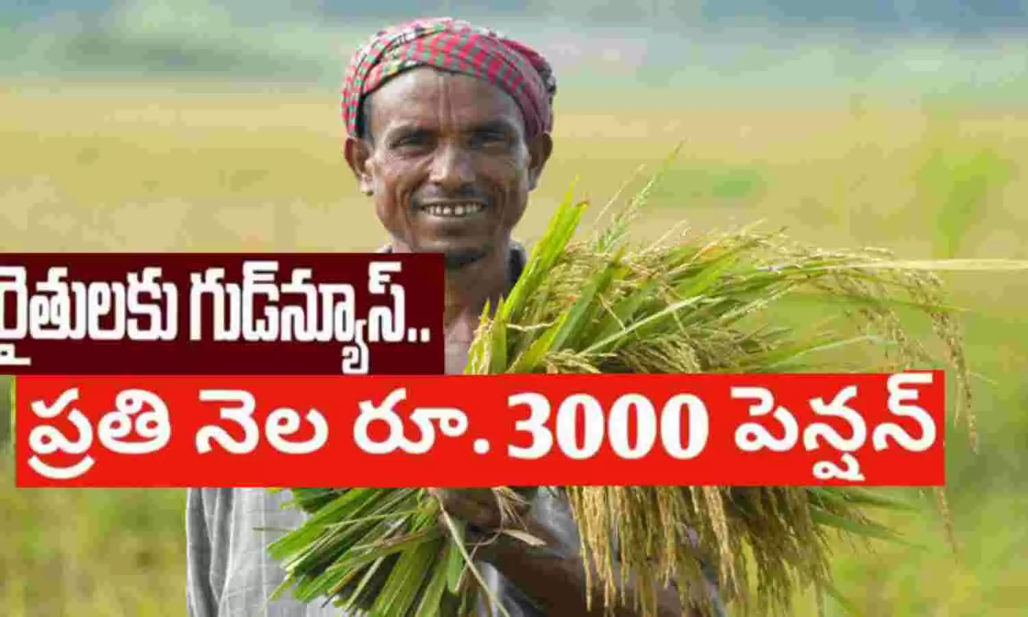 60 ఏళ్లు దాటిన రైతులకు ప్రతినెలా రూ. 3000 పెన్షన్!