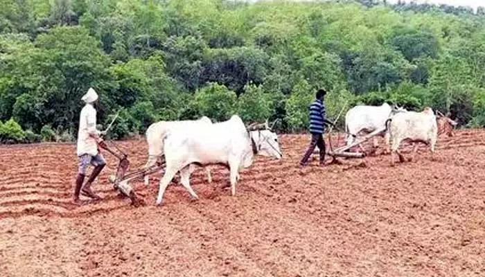 పోడు పట్టాలు అందరికీ దక్కేనా!