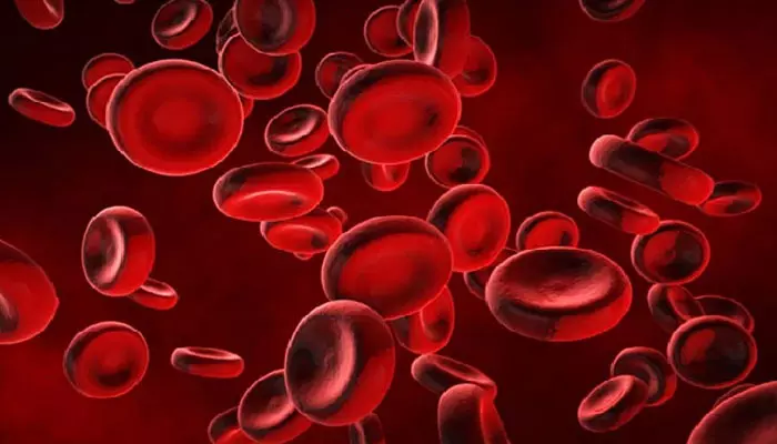 Human Blood:రక్తం ఎర్రగా ఎందుకు ఉంటుందో తెలుసా?