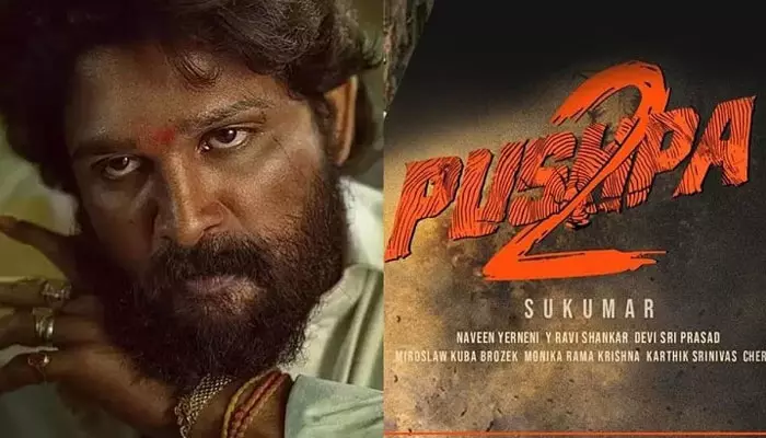 Pushpa 2: The Rule : మళ్లీ ఆగిపోయిన ‘పుష్ప 2’ షూటింగ్