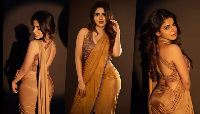 శారీలో బ్యాక్ అందాలతో సెగలు పుట్టిస్తున్న Iswarya Menon