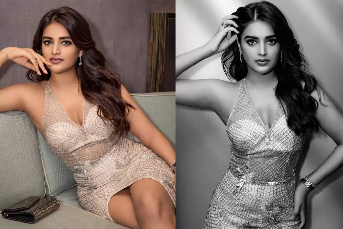 Actress Nidhhi Agerwal Photos