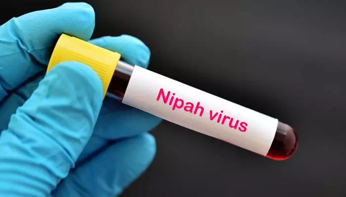 Nipah Virus: కేరళలో ‘నిపా’ కలకలం.. ఇద్దరు మృతి